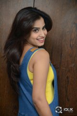 Dimple Chopade at Krishnastami Movie Success Meet
